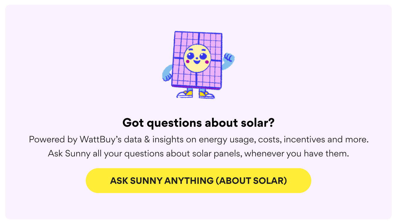 Sunny mascot mock illustration
